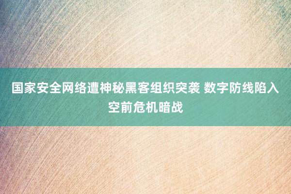 国家安全网络遭神秘黑客组织突袭 数字防线陷入空前危机暗战