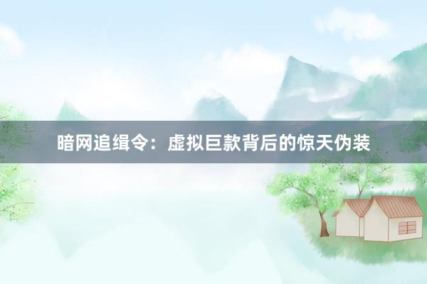 暗网追缉令：虚拟巨款背后的惊天伪装